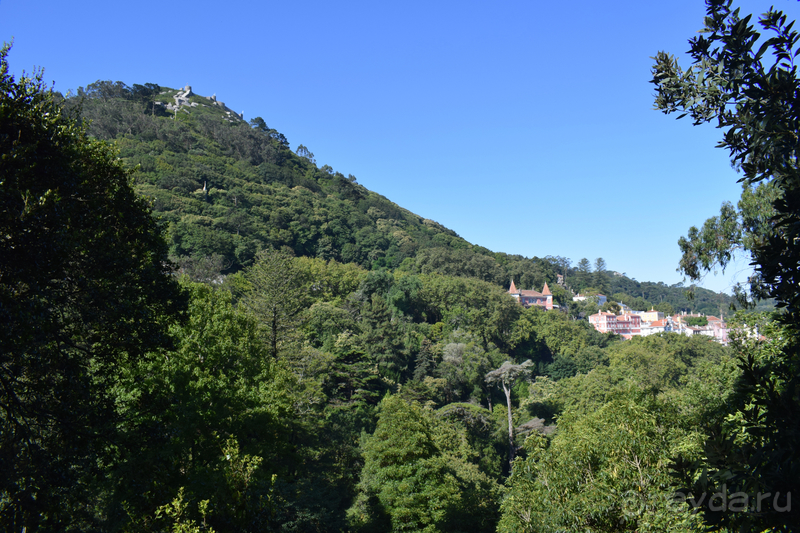 Не только портвейн...