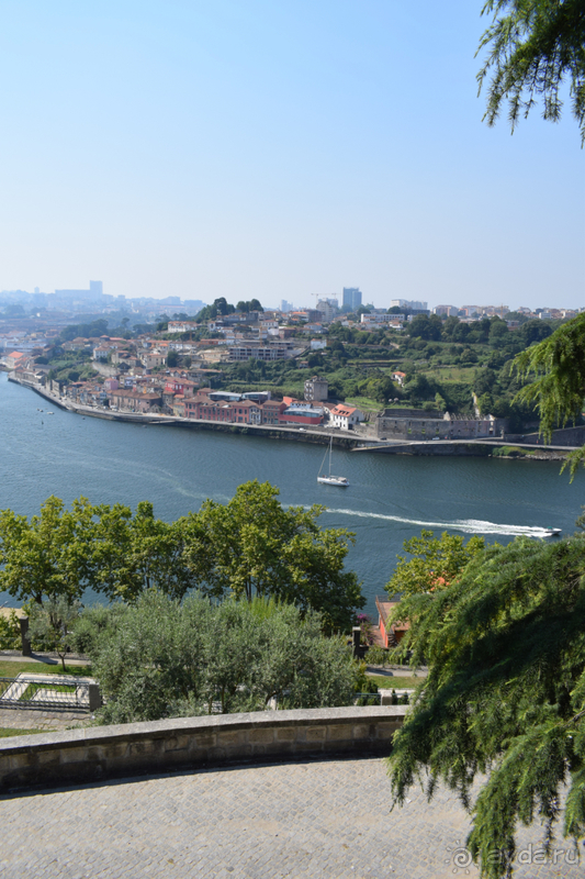 Не только портвейн...