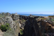 Не только портвейн...