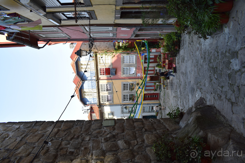 Альбом отзыва "Не только портвейн..."