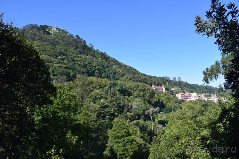 Не только портвейн...