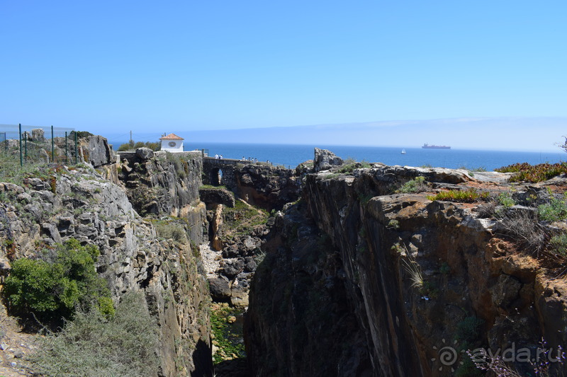 Не только портвейн...