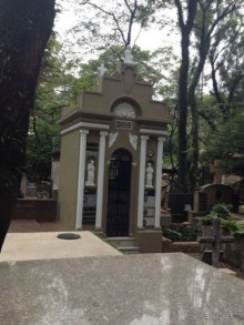 Бразилия или в стране диких обезьян!