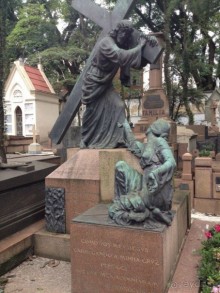 Бразилия или в стране диких обезьян!