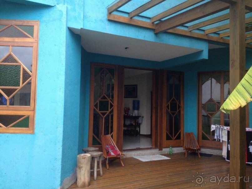 Бразилия или в стране диких обезьян!