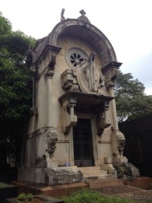 Бразилия или в стране диких обезьян!