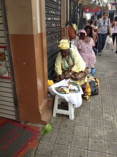 Бразилия или в стране диких обезьян!