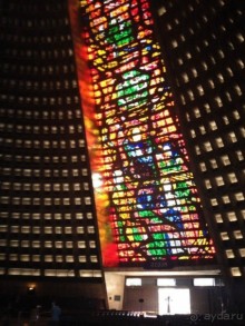 Бразилия или в стране диких обезьян!