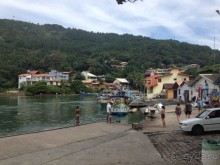 Бразилия или в стране диких обезьян!