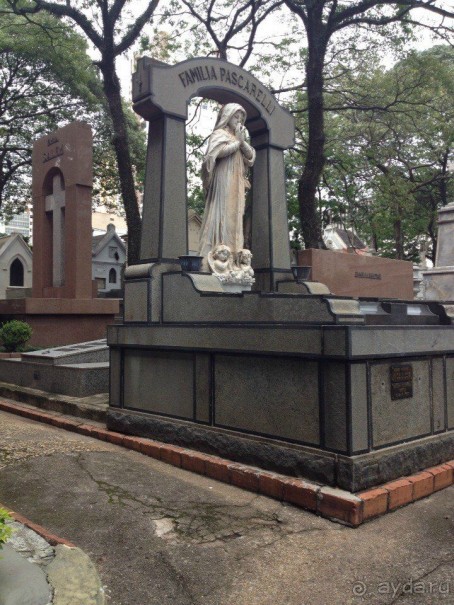 Бразилия или в стране диких обезьян!