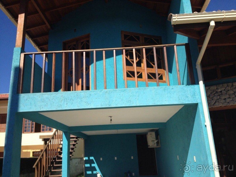 Бразилия или в стране диких обезьян!