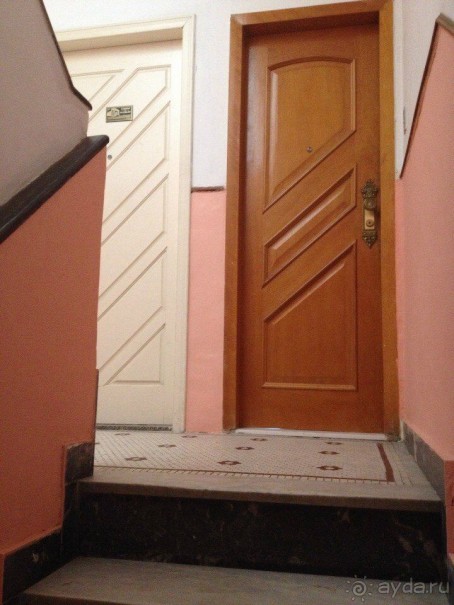 Бразилия или в стране диких обезьян!