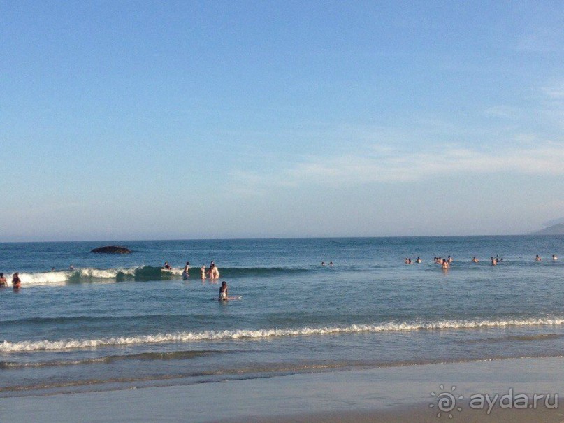 Бразилия или в стране диких обезьян!