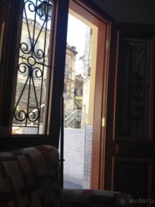 Бразилия или в стране диких обезьян!