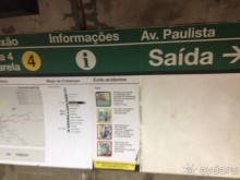 Бразилия или в стране диких обезьян!