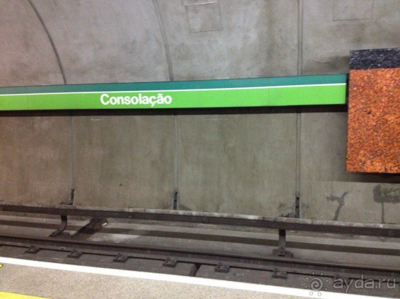 Бразилия или в стране диких обезьян!