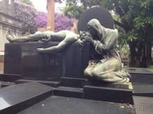 Бразилия или в стране диких обезьян!