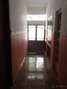 Бразилия или в стране диких обезьян!