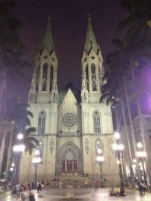 Бразилия или в стране диких обезьян!