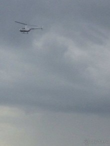 Бразилия или в стране диких обезьян!