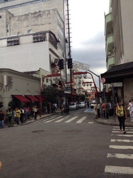 Бразилия или в стране диких обезьян!