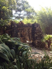 Бразилия или в стране диких обезьян!