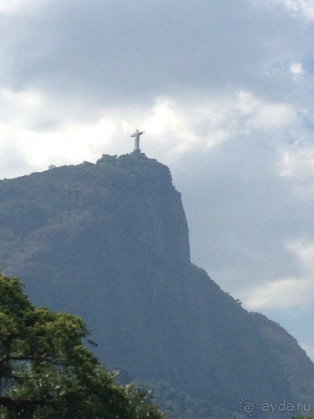Бразилия или в стране диких обезьян!