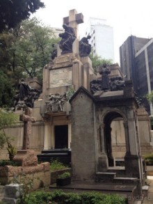 Бразилия или в стране диких обезьян!