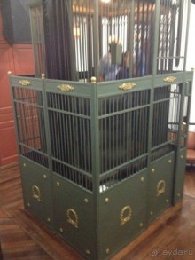 Бразилия или в стране диких обезьян!