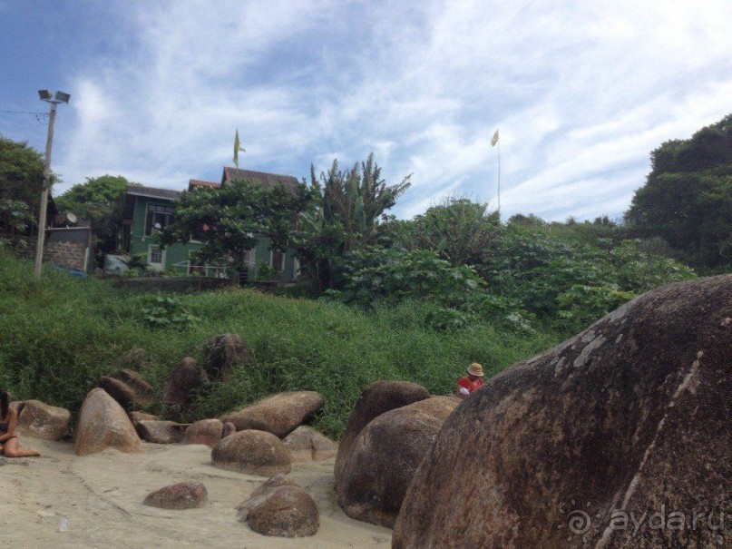 Бразилия или в стране диких обезьян!