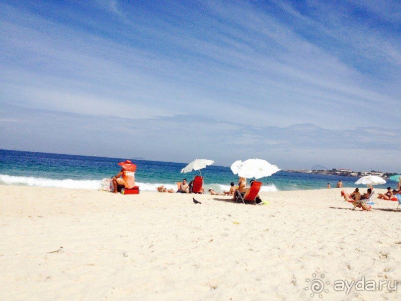 Бразилия или в стране диких обезьян!