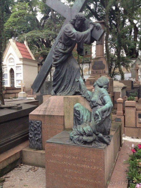 Бразилия или в стране диких обезьян!