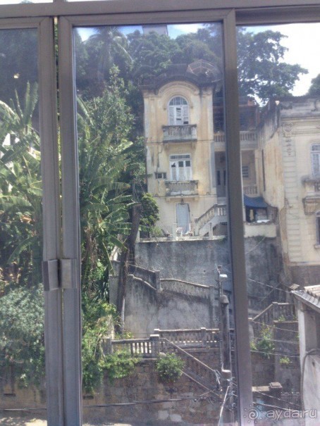 Бразилия или в стране диких обезьян!