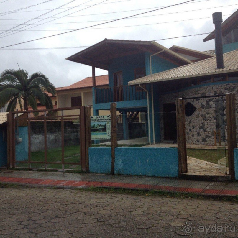 Бразилия или в стране диких обезьян!