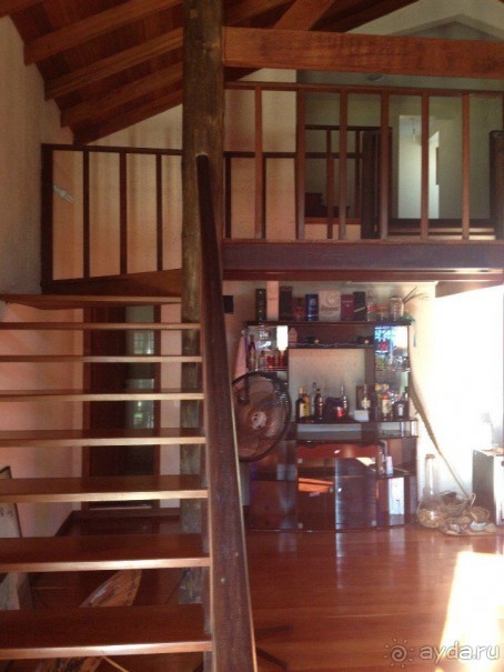 Бразилия или в стране диких обезьян!