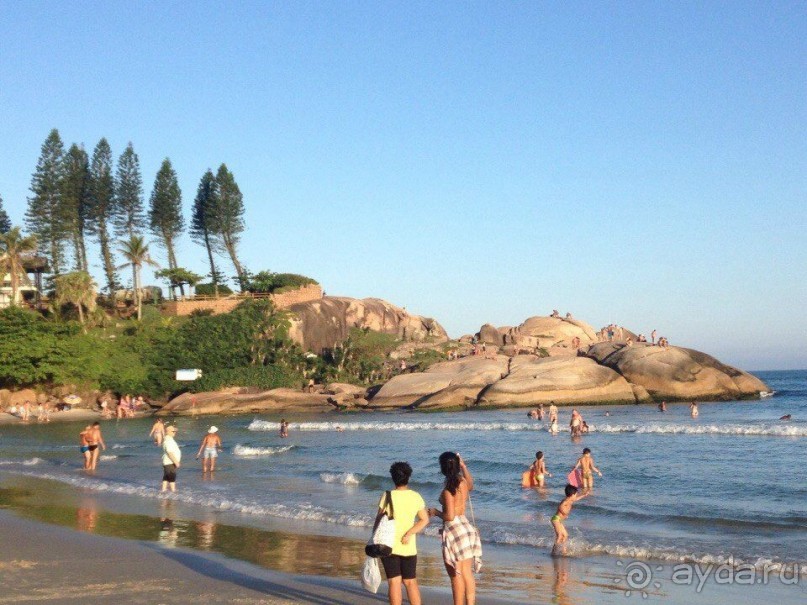 Бразилия или в стране диких обезьян!