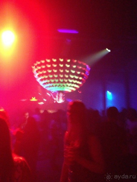 Бразилия или в стране диких обезьян!