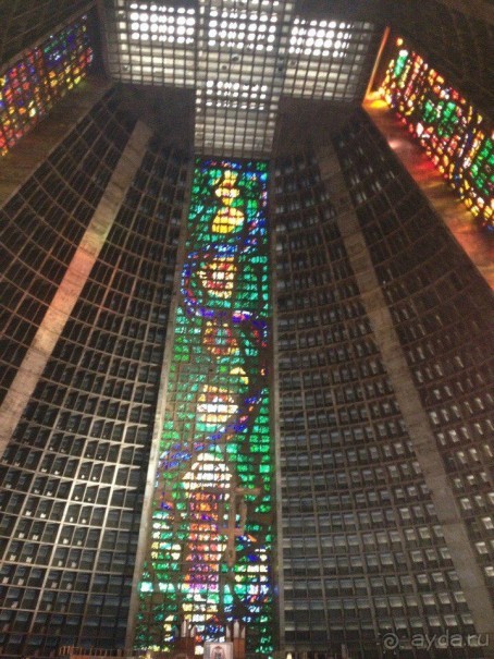 Бразилия или в стране диких обезьян!