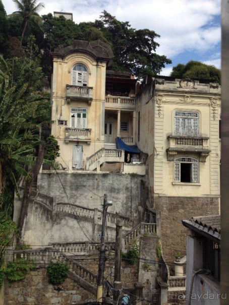 Бразилия или в стране диких обезьян!