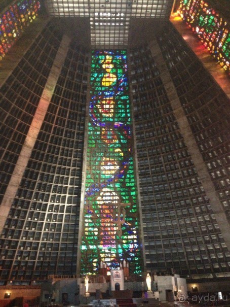 Бразилия или в стране диких обезьян!