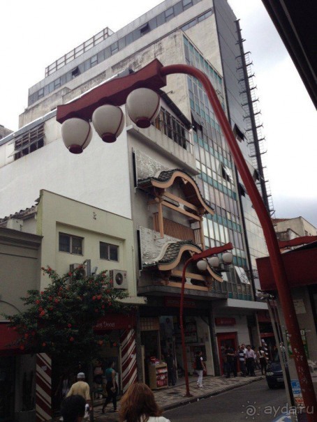 Бразилия или в стране диких обезьян!