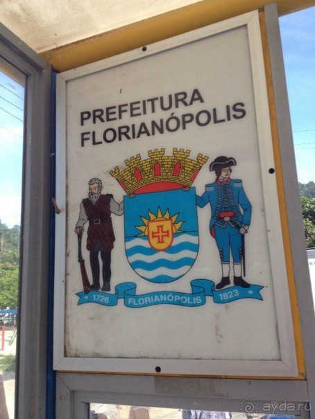 Бразилия или в стране диких обезьян!