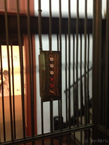 Бразилия или в стране диких обезьян!