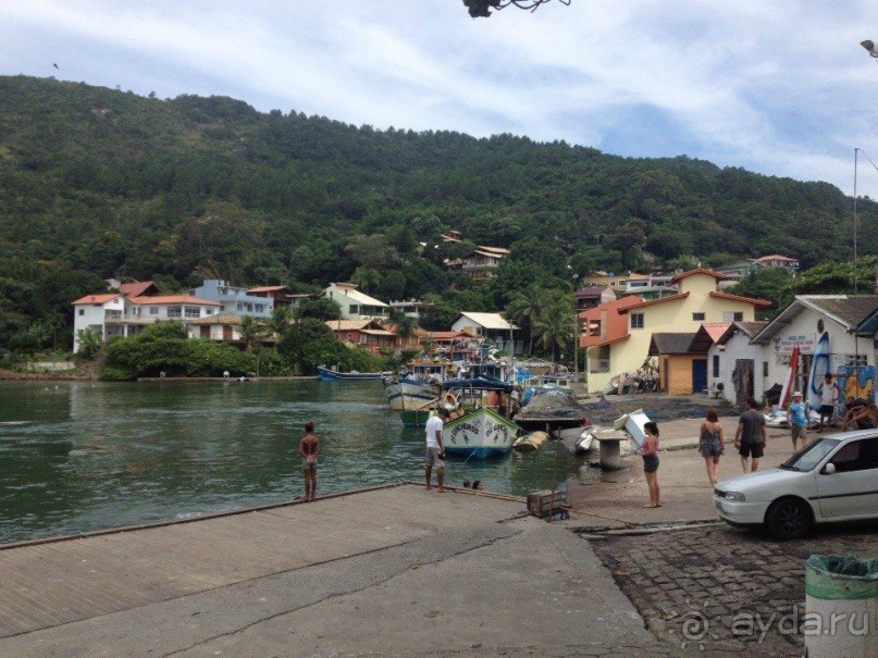 Бразилия или в стране диких обезьян!