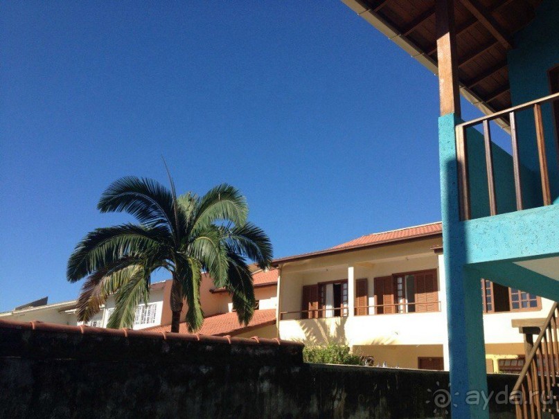 Бразилия или в стране диких обезьян!