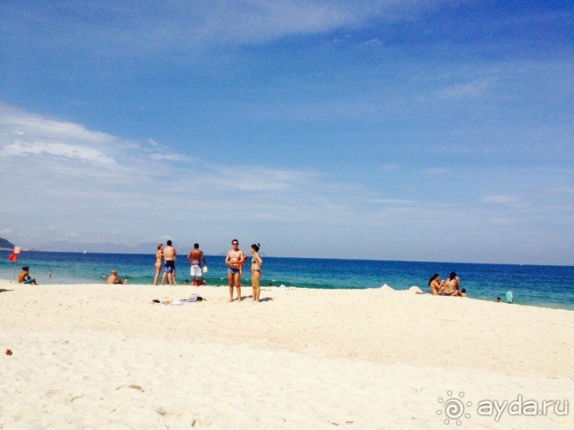 Бразилия или в стране диких обезьян!