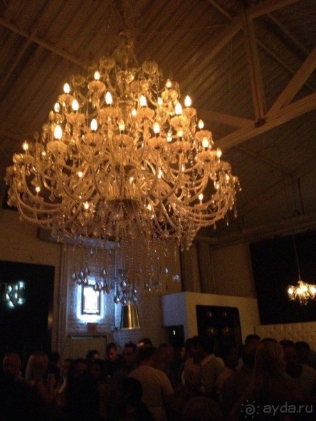 Бразилия или в стране диких обезьян!