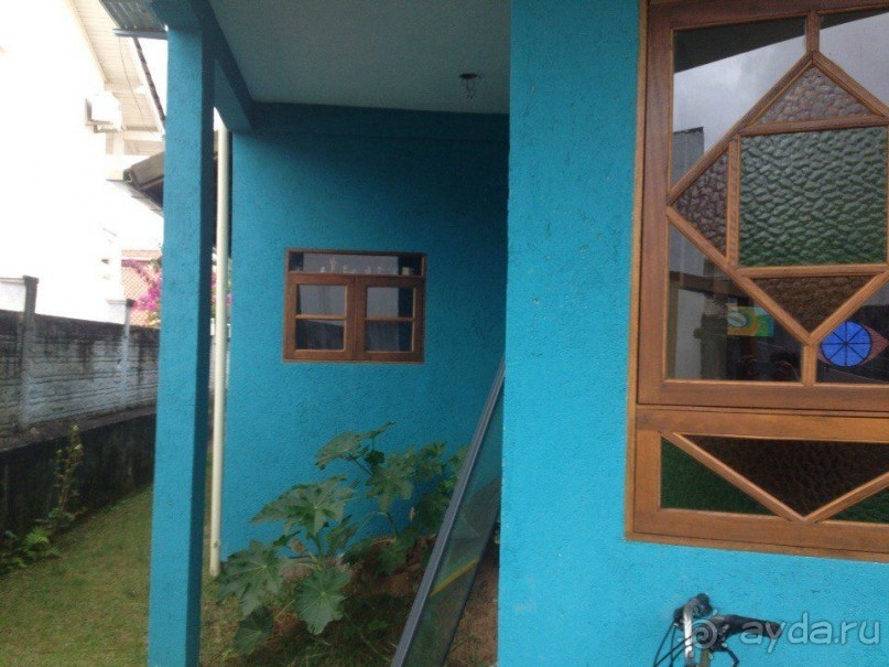 Бразилия или в стране диких обезьян!