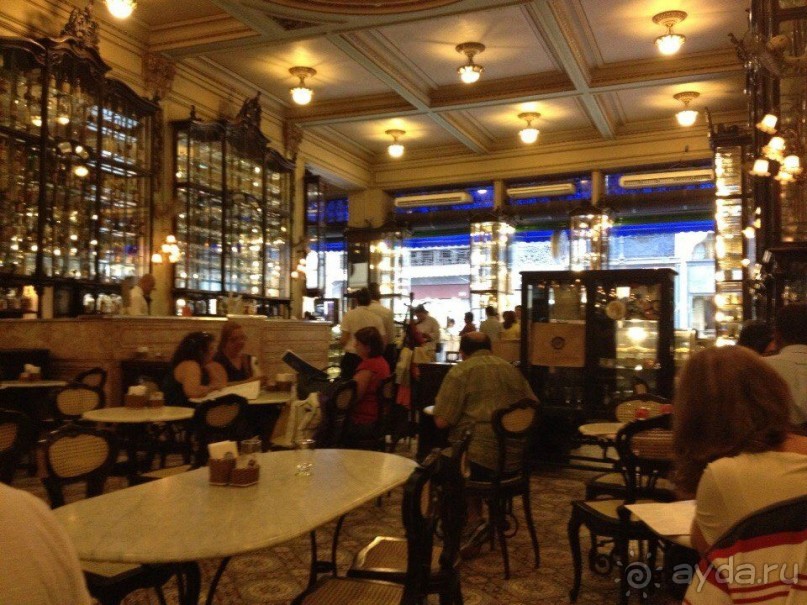 Бразилия или в стране диких обезьян!