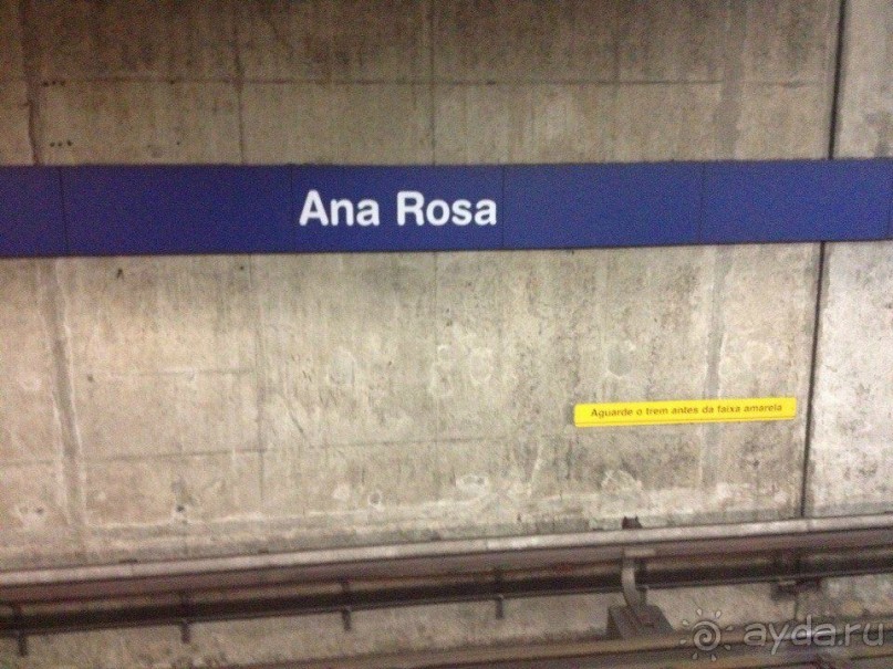 Бразилия или в стране диких обезьян!